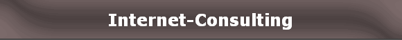 Internet-Consulting