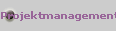 Projektmanagement