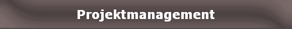 Projektmanagement