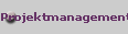 Projektmanagement